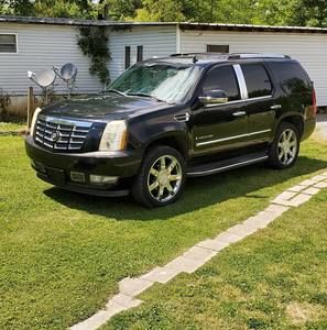 Meet your Posher, Tony